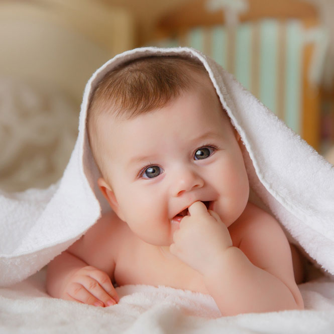 surrogacy